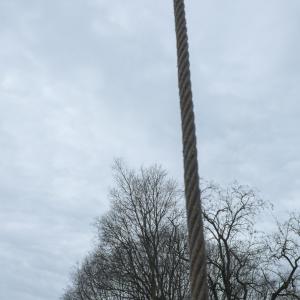 A Sky Full Of Stars For A Roof