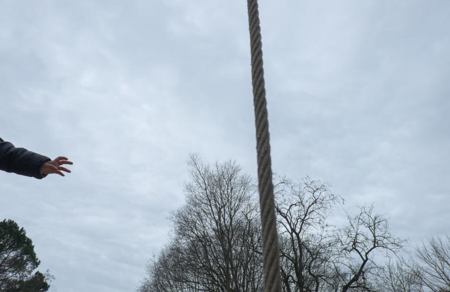 A Sky Full Of Stars For A Roof