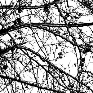 Cicatrici nel cielo3, SC-art Cicatrici nel cielo3, SC-art