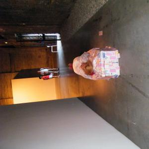 55° Biennale Internazionale d'Arte di Venezia.“ La Sibilla magica . Arte - La Mia Seconda Pelle”