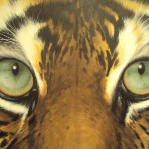 ZOO D'ARTE, L'ARCA DI NOè ALLA GALLERIA ARTEARTE DI MANTOVA