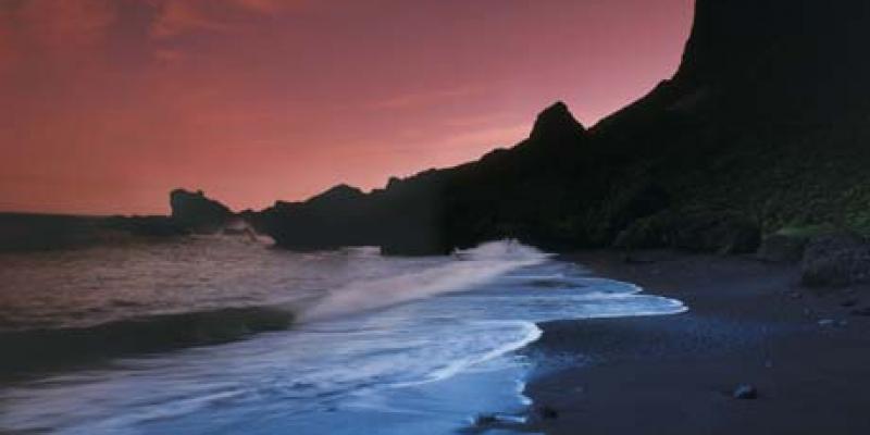 Type Connection SeeGallery