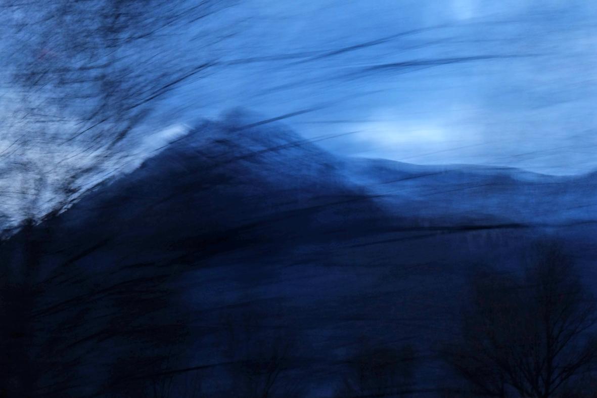 Enchanted Nature Enchanted Nature