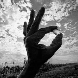 Ermanno Foroni, Se questi sono uomini