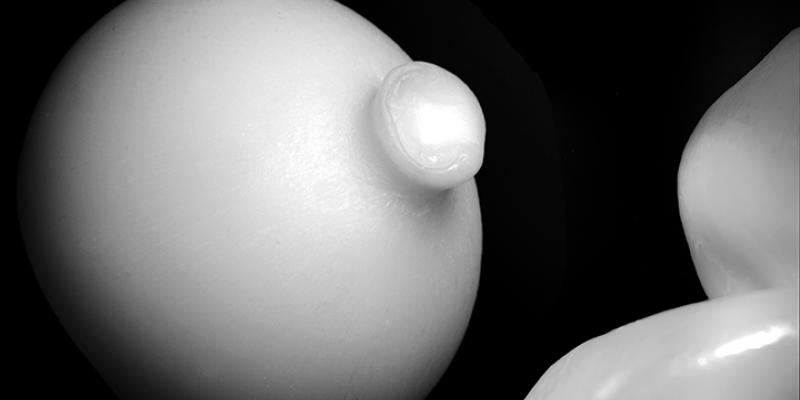 Sandro Frinolli Puzzilli alla Biennale Internazionale d'Arte di Palermo Sandro Frinolli Puzzilli alla Biennale Internazionale d'Arte di Palermo