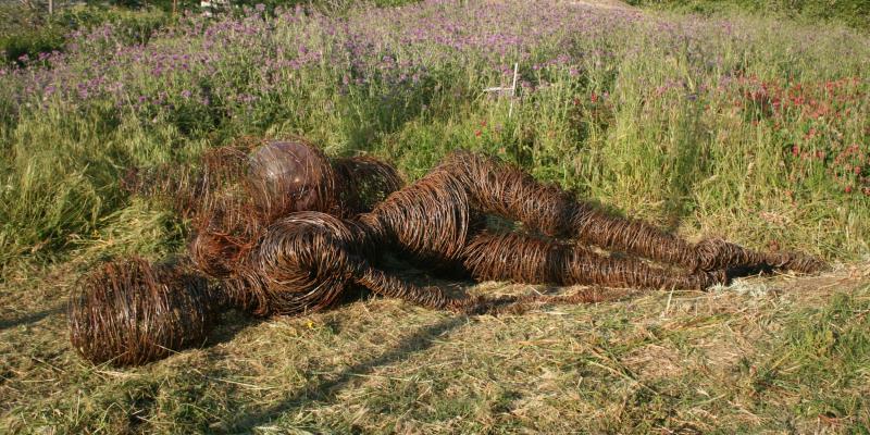 FRAGILE è morto...ucciso dal comune di Messina. FRAGILE è morto...ucciso dal comune di Messina.