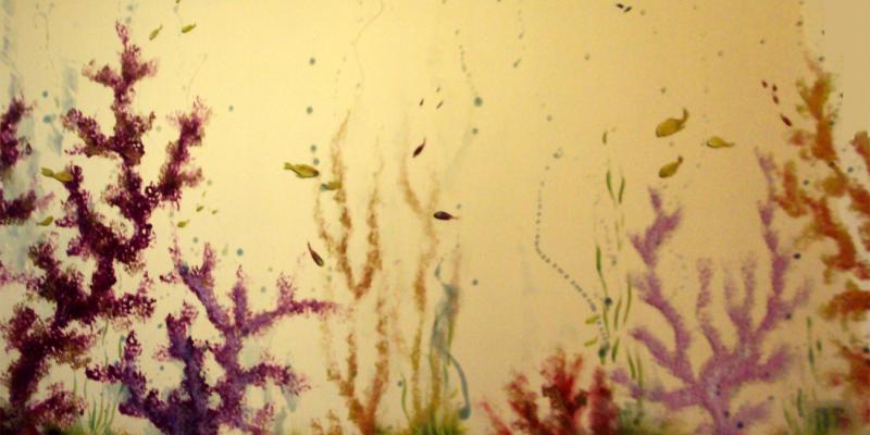 PARADISE BAR inaugurazione.