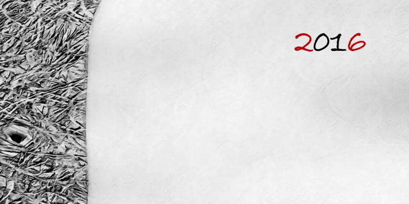 Pubblicato il catalogo 2016