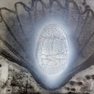 Julia Bornefeld, Scarpette Rosse