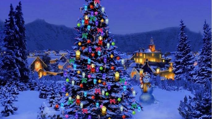 Mostra Natalizia 2013