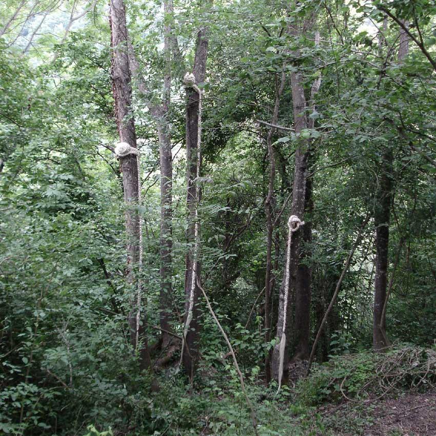 tre - Operabosco (VT)