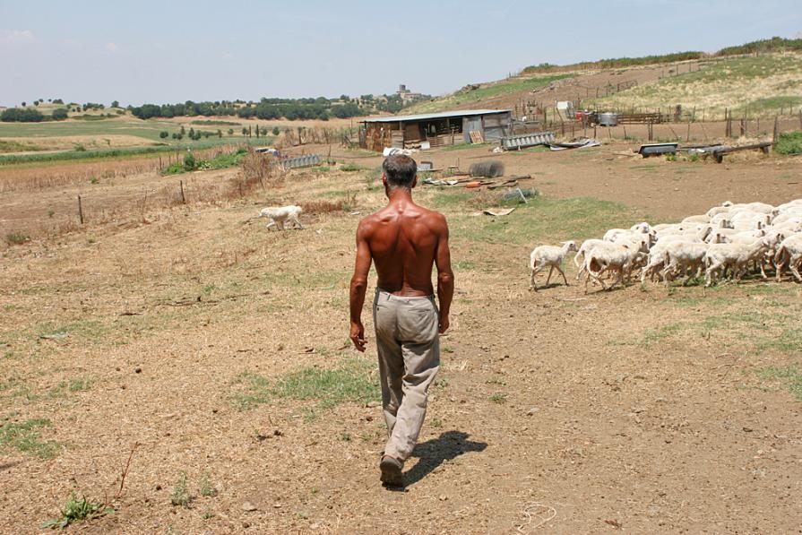 Campagna romana #9-2006