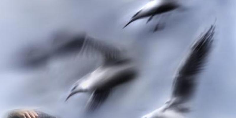 "in primavera2012, tre giornate in vino veritart"