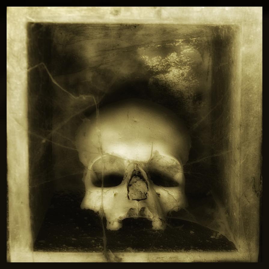 SKULLS 21- Augusto De Luca photographer