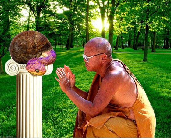 L'abito non fa il monaco