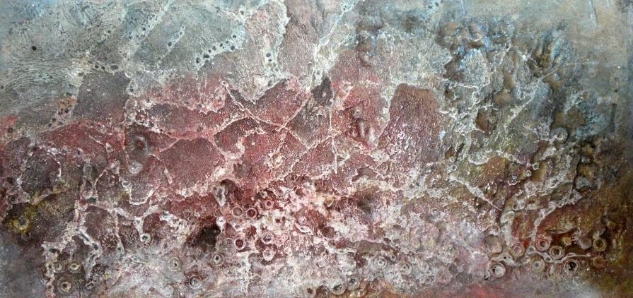 Cellular reorganization after the disaster