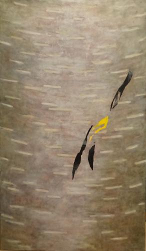 Betula Utilis, particolare n.2