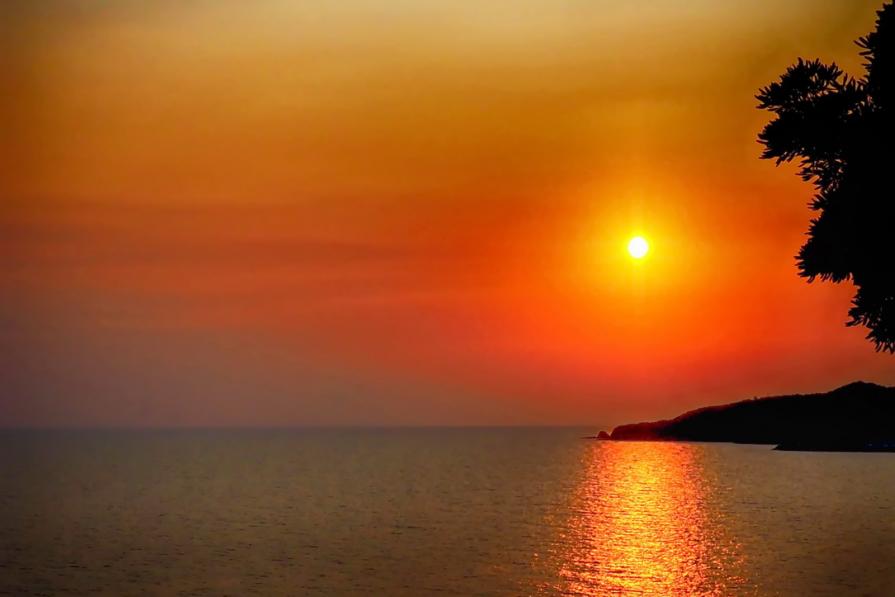 Il sapore della vita