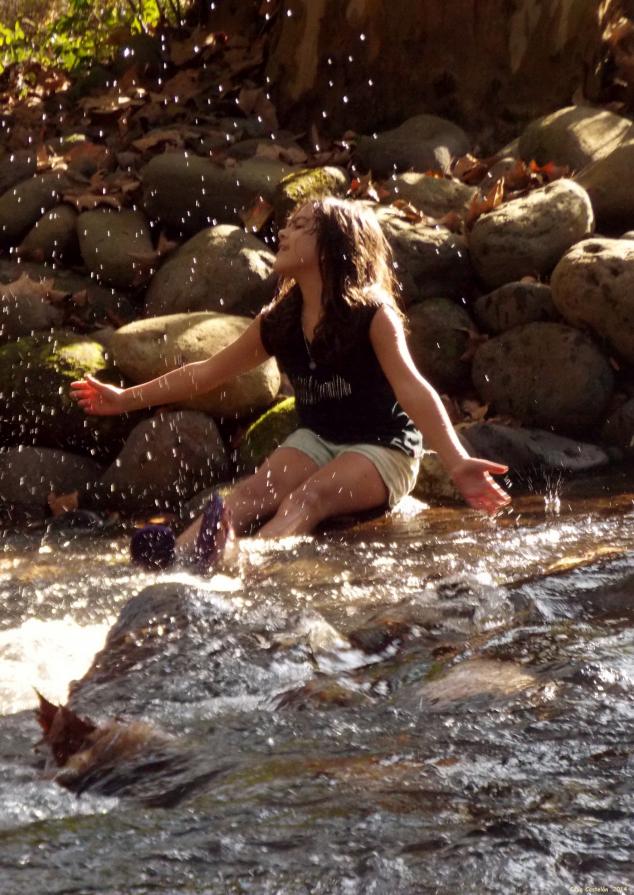 La hora del canto de las hadas