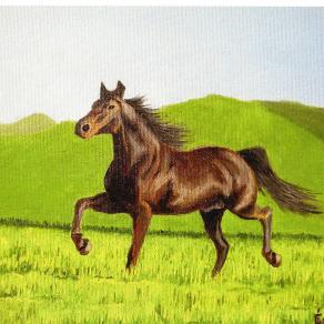 LG 0204 - Morello, lo stallone