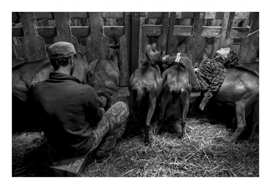 Immagine - Tout simplement ... Famille rurale - La stalla