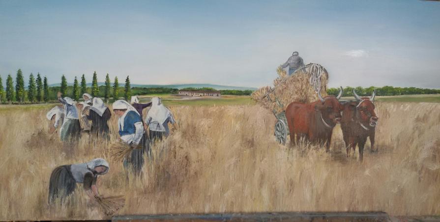 MIETITURA INIZIO '900