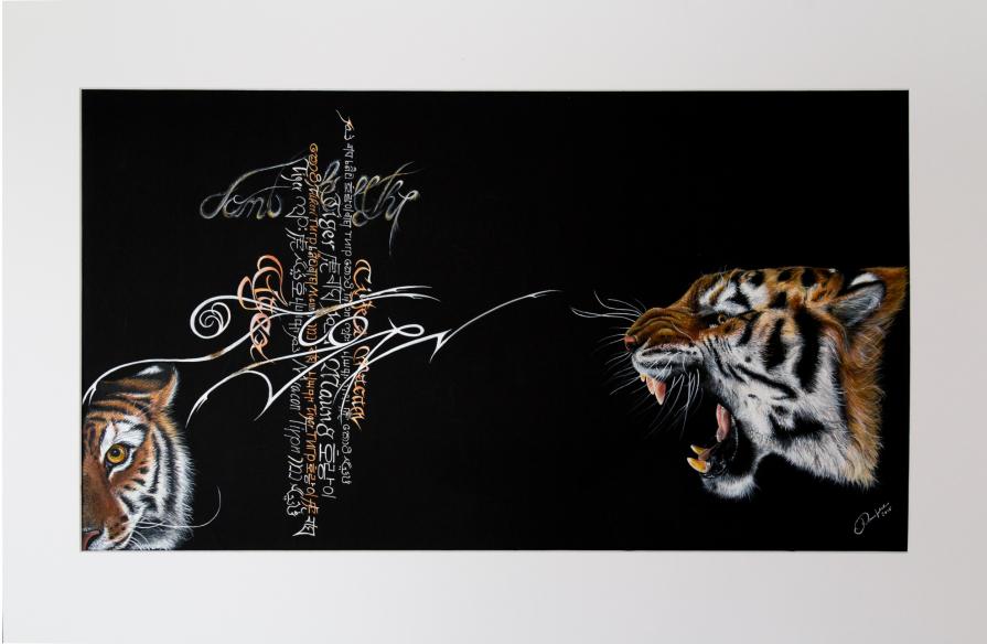 don t kill the Tiger