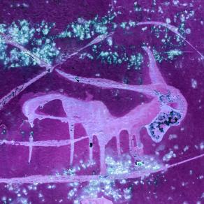 Demone della Lussuria ♡♡♡