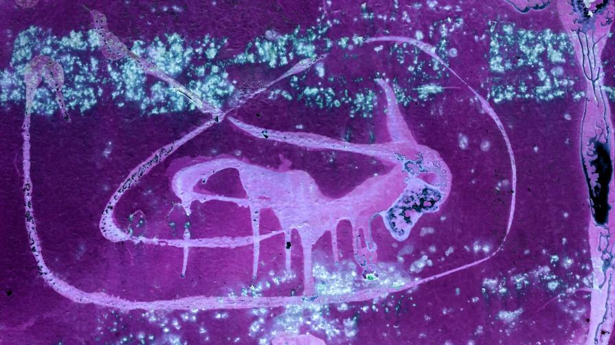 Demone della Lussuria ♡♡♡