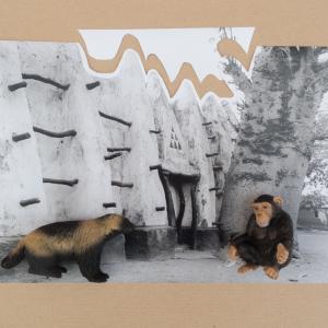 Habitat_project_backstage 19