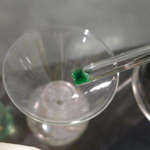 Misteriosas Criaturas