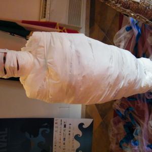 la performance di  Rosa Didonna“Viaggio di una Geisha e la ritrovata Sibilla”