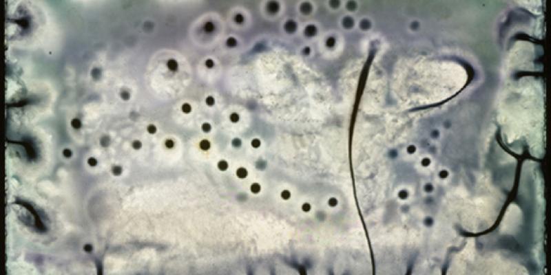 BACTEREALITY & FRAKTALE - Wolfgang Ganter und Hans Schüle