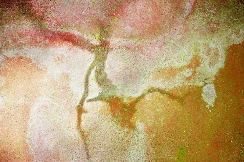 Naide Bigliardi. Stranaluce