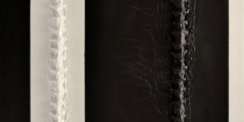 Il canto della terra Il canto della terra