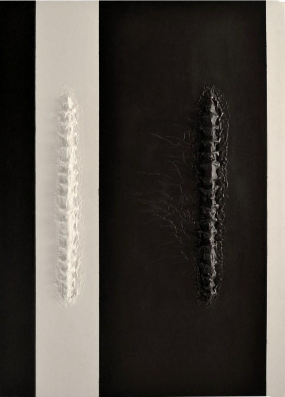 Il canto della terra