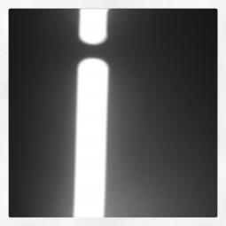 Nicoletta Guglielmucci