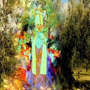 "Potentia divina gratia In Urlo d’Ulivo”di Rosa Didonna "Potentia divina gratia In Urlo d’Ulivo”di Rosa Didonna