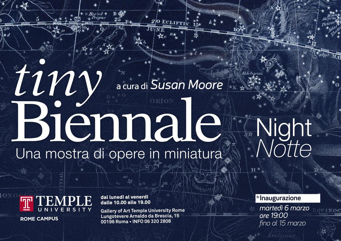 Letizia Ardillo- Come ci si orienta nel cielo stellato- tiny biennale- Night- 6°edizione a cura di Susan Moore